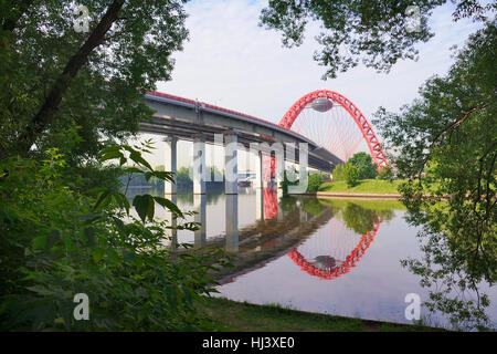 Umrahmt von Bäumen - Blick auf die modernen Zhivopisny Schrägseilbrücke von einer Bank des Flusses Moskwa-Kanals. Moskau, Russland Stockfoto