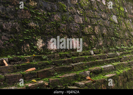 Bild des alten moosige Wand in der Tageszeit für Nutzung im Hintergrund. Stockfoto