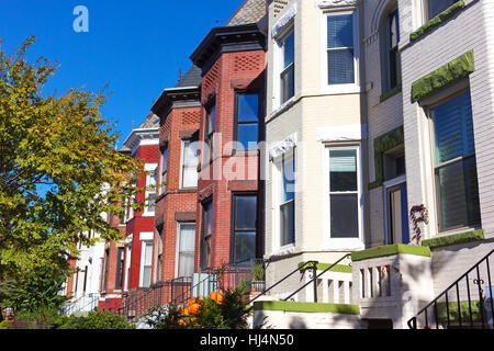 Historischen Reihenhäuser in Washington DC Nachbarschaft rund um Halloween-Zeit. Stockfoto