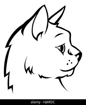 Ein Beispiel für eine Katzengesicht oder Kopf im Profil Stockfoto