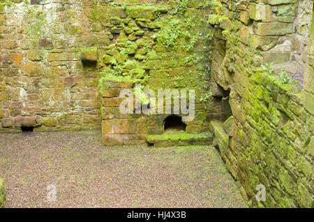 Im inneren Interieur in Seitenansicht des alten bedeckt schottischen Burg Stained und Moos Hermitage Schloss Schottland, Vereinigtes Königreich Stockfoto