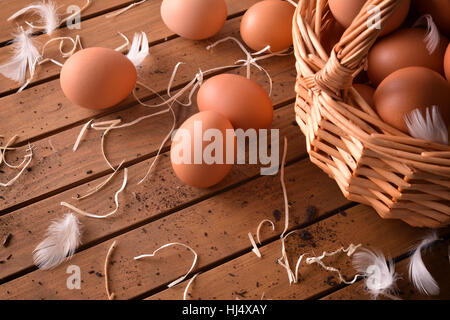 Frisch gepflückt Eiern im Weidenkorb auf Holztisch mit Stroh und Federn. Erhöhten Draufsicht. Horizontale Komposition. Stockfoto