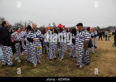 Distrikt von Columbia, USA. 21 Jan, 2017. Eine Gruppe von Demonstranten auf dem Rasen des Weißen Hauses tragen passende Outfits zu sehen wie eine Wand, ein Kopfnicken zu versprechen Präsident Donald Trump, der entlang der Grenze zwischen den USA und Mexiko bauen, mit verschiedenen Zitate von ihm. Stockfoto