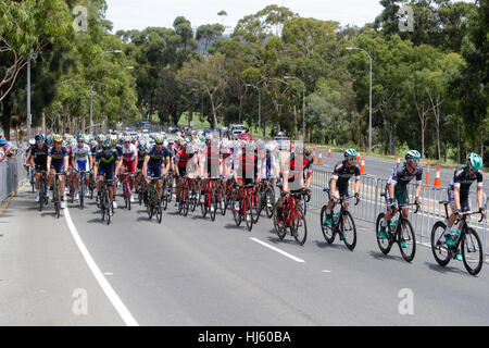 Adelaide, Australien. Werden Sie sicher werden gesehen MAC Stage 6 Stadtkurs, Santos Tour Down Under, 22. Januar 2017. Hauptfeld Montefiore bergauf fahren. Bildnachweis: Peter Mundy/Alamy Live-Nachrichten Stockfoto