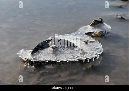 Qingdao, Qingdao, China. 22. Januar 2017. Qingdao, CHINA-Januar 22 2017: (nur zur redaktionellen Verwendung. CHINA HERAUS). Da die Temperatur stark in Qingdao gesunken, erstreckte sich das Meereis für mehr als 10 Kilometer, so dass einige Fischerboote in das gefrorene Wasser an der Jiaozhou-Bucht gestrandet. Bildnachweis: SIPA Asien/ZUMA Draht/Alamy Live-Nachrichten Stockfoto