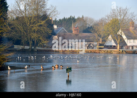 Brighton, Sussex, UK. 22. Januar 2017. Falmer Teich zugefroren im Nebel nördlich von Brighton, da das kalte Wetter im gesamten Süden Großbritanniens mit Temperaturen auf minus 5 Grad Celsius in einigen Bereichen Kredit fallen voraussichtlich weiter: Simon Dack/Alamy Live News Stockfoto