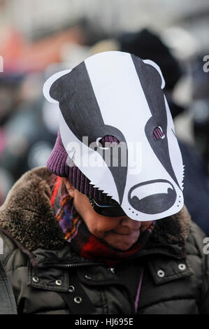 London, UK.  26. Januar 2017.  Aktivisten nehmen Teil an einer Protestaktion "Speichern the Badger" marschieren von Leicester Square, außerhalb des Parlaments. © Stephen Chung / Alamy Live News Stockfoto