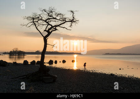 Loch Lomond, Schottland - Mädchen in Milarrochy Bay bei Sonnenuntergang paddeln Stockfoto