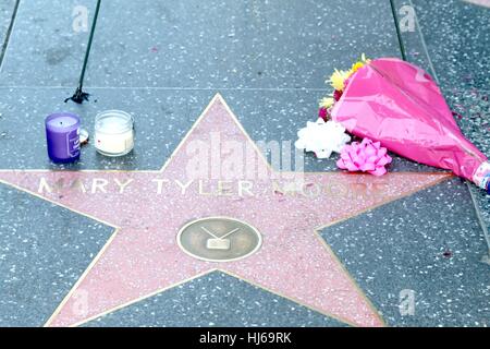 Los Angeles, Kalifornien, USA. 25. Januar 2017. Mary Tyler Moore Memorial Kranz auf ihrer Außenseite Hollywood Walk of Fame Star für Memorial Kranz auf Mary Tyler Moores Stern auf dem Hollywood Walk of Fame, Hollywood Boulevard, Los Angeles, Kalifornien 25. Januar 2017 gelegt. Bildnachweis: Priscilla Grant/Everett Collection/Alamy Live-Nachrichten Stockfoto