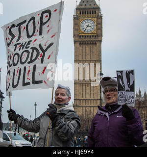 London, UK. 26. Januar 2017. Demonstranten marschierten durch die Londoner gegen die Regierungen weiterhin Unterstützung für Dachs Keulung im Vereinigten Königreich zu demonstrieren. Der März folgte eine Mahnwache vor den Houses of Parliament im alten Parlament Hof. David Rowe / Alamy Live News Stockfoto