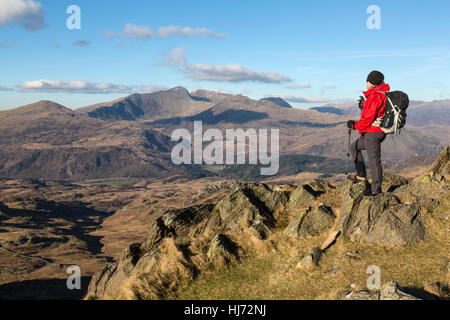 Einsame weibliche Wanderer trägt eine rote Jacke mit Blick auf die Berge im Snowdonia National Park in Nord-Wales Stockfoto