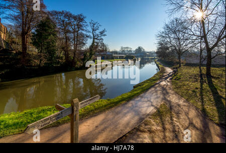 Fluss Wey in Guildford neben dem Campus der Universität von Surrey Stockfoto