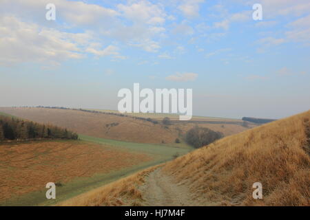 Englische Winterlandschaft mit satiniertem Täler und Wälder von der malerischen Landschaft von Yorkshire Wolds im Januar. Stockfoto