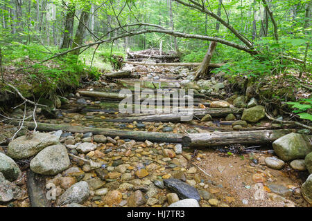 Lage von einer Stichleitung aus der East Branch & Lincoln Protokollierung Railroad (1893-1948) in der Pemigewasset Wildnis, New Hampshire Stockfoto