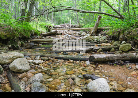 Lage von einer Stichleitung aus der East Branch & Lincoln Protokollierung Railroad (1893-1948) in der Pemigewasset Wildnis, New Hampshire Stockfoto