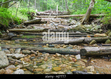 Lage von einer Stichleitung aus der East Branch & Lincoln Protokollierung Railroad (1893-1948) in der Pemigewasset Wildnis, New Hampshire Stockfoto