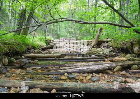 Lage von einer Stichleitung aus der East Branch & Lincoln Protokollierung Railroad (1893-1948) in der Pemigewasset Wildnis, New Hampshire Stockfoto