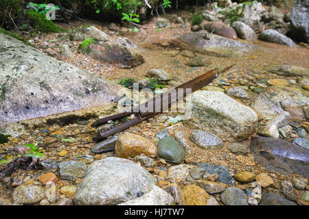 Pemigewasset Wilderness - Standort eine Stichleitung aus der East Branch & Lincoln Railroad North Fork Junction in Lincoln, New Hampshire, USA. Stockfoto