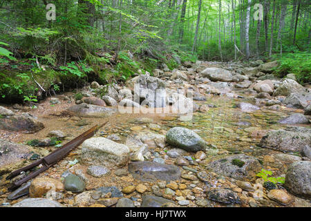 Pemigewasset Wilderness - Standort eine Stichleitung aus der East Branch & Lincoln Railroad North Fork Junction in Lincoln, New Hampshire, USA. Stockfoto