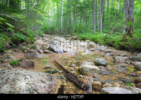 Pemigewasset Wilderness - Standort eine Stichleitung aus der East Branch & Lincoln Railroad North Fork Junction in Lincoln, New Hampshire, USA. Stockfoto