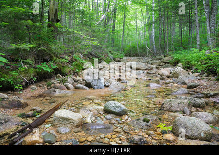 Pemigewasset Wilderness - Standort eine Stichleitung aus der East Branch & Lincoln Railroad North Fork Junction in Lincoln, New Hampshire, USA. Stockfoto