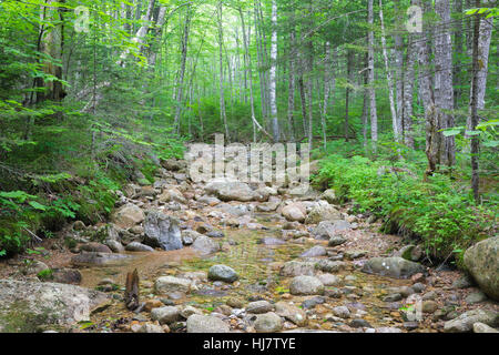 Pemigewasset Wilderness - Standort eine Stichleitung aus der East Branch & Lincoln Railroad North Fork Junction in Lincoln, New Hampshire, USA. Stockfoto