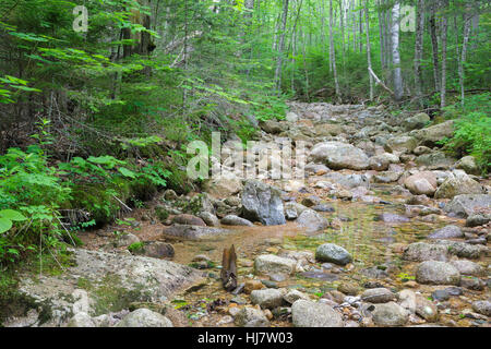 Pemigewasset Wilderness - Standort eine Stichleitung aus der East Branch & Lincoln Railroad North Fork Junction in Lincoln, New Hampshire, USA. Stockfoto