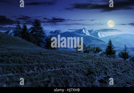 Zusammengesetzte Sommerlandschaft mit Fichtenwald auf grasbewachsenen Hügel in der hohen Tatra in der Nacht im Vollmondlicht Stockfoto