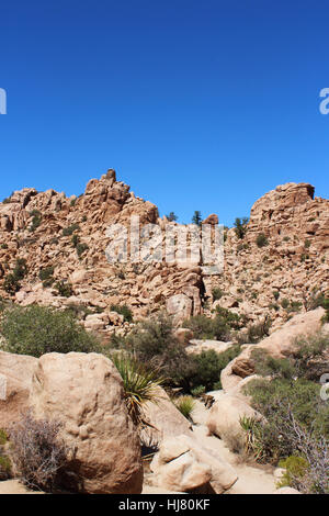 Mesquite Bäume, Yucca und Gestrüpp Pinsel wächst in einzigartigen Felsformationen im Hidden Valley Picknick Bereich Trail Stockfoto