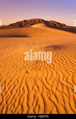 Cadiz-Dünen bei Sonnenuntergang, Schiff-Gebirge in der Ferne an der Mojave-Wüste, Mojave Trails National Monument, California, USA Stockfoto