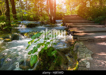 Plitvicer Seen in Kroatien - Nationalpark im Herbst Stockfoto