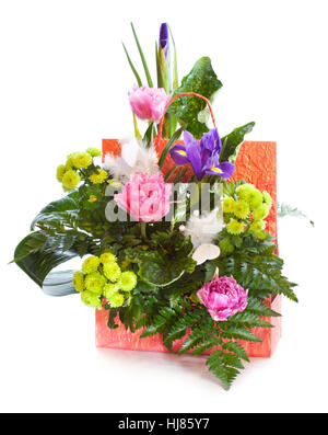 Helle blumeblumenstrauß isoliert auf weißem Hintergrund Stockfoto
