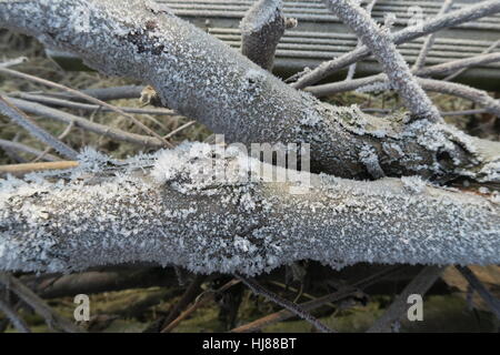 Garten Hürde gemacht aus Protokollen Stockfoto