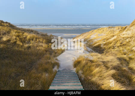 Sandy Promenade auf den Dünen, Nordsee, Amrum, Nordfriesland, Schleswig- Holstein, Deutschland Stockfoto