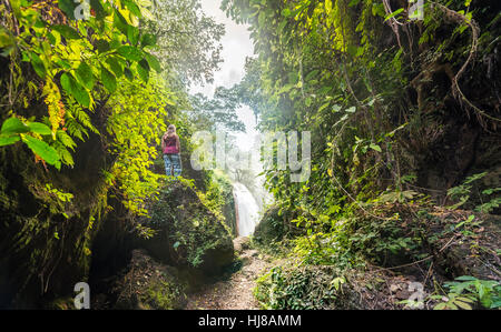 Touristen in den Dschungel, Wasserfall in die Schlucht, Luft Terjun Belawan, Kalianyar, Sempol, Ost-Java, Indonesien Stockfoto