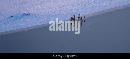 Sandbank mit Eis am Südufer, rücksichtslose ahnungslose Spaziergänger auf dem dünnen Eis, Winter-Wetter-Niedrigwasser am Möhnesee Stockfoto