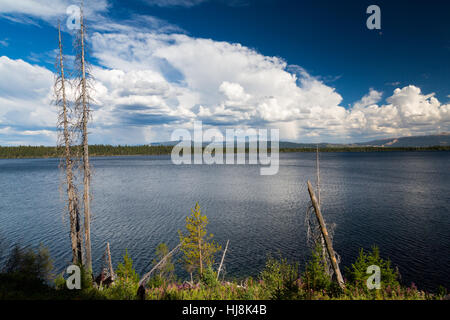 Gewitter unter dem Mond vorbei über die Gros Ventre Bergen oberhalb von Jenny Lake. Grand Teton Nationalpark, Wyoming Stockfoto