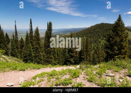 Der Pole Canyon Wanderweg absteigend in Richtung Pole Canyon in der Snake River Mountains. Caribou Targhee National Forest, Idaho Stockfoto