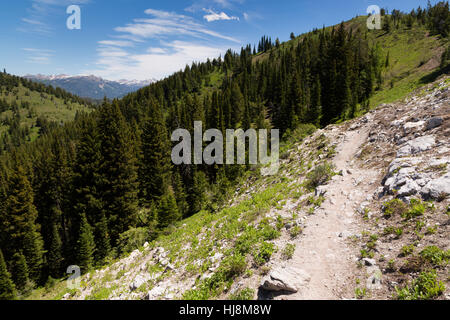 Der Pole Canyon Wanderweg absteigend in Richtung Pole Canyon in der Snake River Mountains. Caribou Targhee National Forest, Idaho Stockfoto