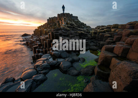 Frau auf Giants Causeway bei Sonnenuntergang, County antrim, Nordirland, Großbritannien Stockfoto