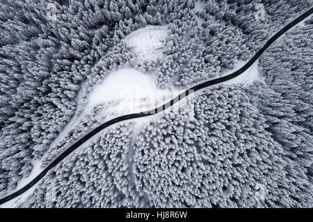 Luftaufnahme einer Straße schlängelt sich durch Wald, Österreich Stockfoto