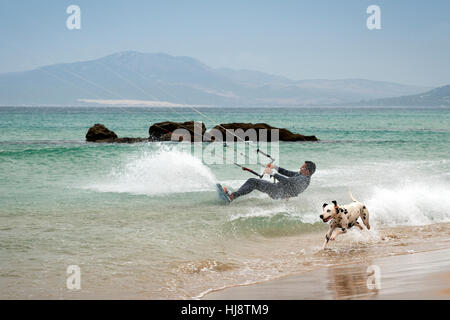 Man Kitesurfen und Hund am Strand Los Lances, Tarifa, Cádiz, Andalusien, Spanien Stockfoto