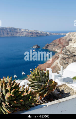 Blick über die Caldera-Klippen und Bucht in Oia, Santorini, einer griechischen Mittelmeerinsel in der Cyclades Gruppe Stockfoto