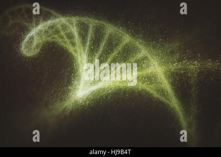 Desoxyribonukleinsäure (DNA), Molekül, das die genetischen Anweisungen von Entwicklung, Funktionsweise und Reproduktion aller lebenden Organismen trägt ein Stockfoto