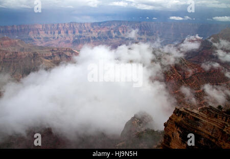 Schlucht, Arizona, Naturwunder, Gewitterwolken, blau, groß, groß, enorm, Stockfoto