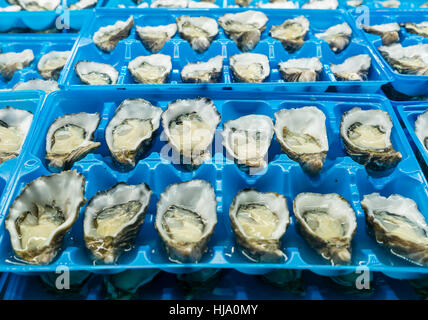 Nahaufnahme der Austern in Fischmarkt Stockfoto