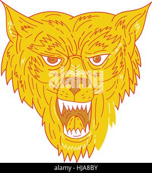 Mono-Linie Stil Illustration einen bösen Wolfskopf von vorne am isolierten weißen Hintergrund betrachtet. Stock Vektor
