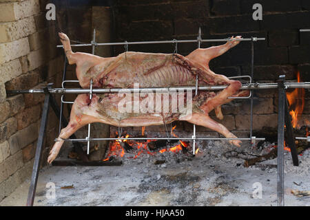 großen stecken Schwein, das langsam auf enorme Stahl Spieß in dem riesigen Kamin kocht Stockfoto