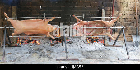 zwei gebratene Schwein Kochen langsam auf Stahl Spieß in dem riesigen Kamin Stockfoto