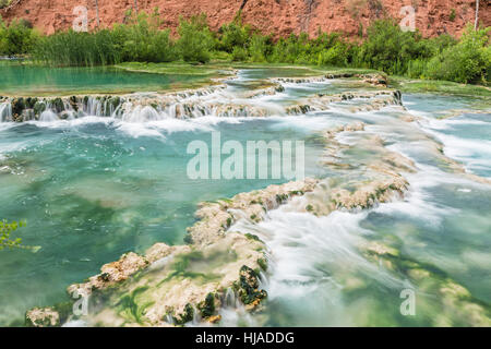 Das kristallklare türkisfarbene Wasser des Havasu Creek fließen über Travertin Terrassen bilden Pools im Havasupai Indian Reservation, Arizona. Stockfoto